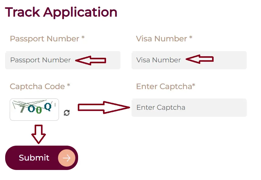 track applicatin qatar visa