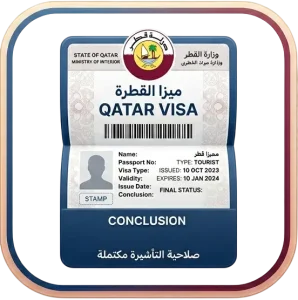 Visa Conclusion